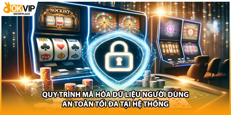 Quy trình mã hóa dữ liệu người dùng an toàn tối đa tại hệ thống
